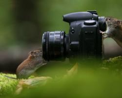 Vadim Trunov - o que há de mais interessante em blogs Qual gênero de fotografia é mais interessante para você